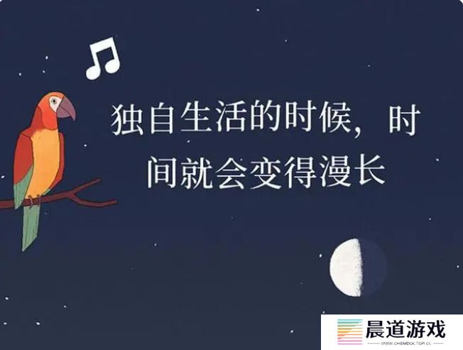 《孤独的鸟儿》进入第二天方法介绍