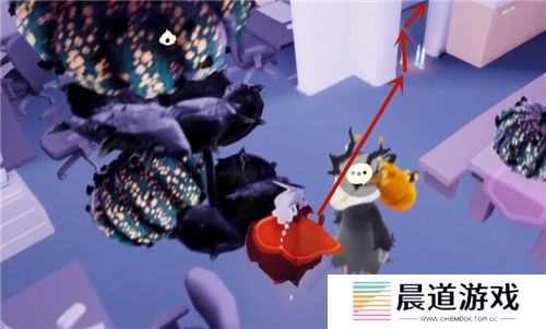 《光遇》变黑煤球方法