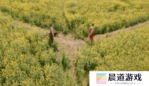 《掌心》采莲身死，霓裳退出，叶平安被埋，复仇小分队遭散伙危机