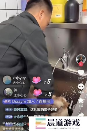 训狗一哥潘宏又出事，要求主人签“天价合同”，网友：这波站潘宏