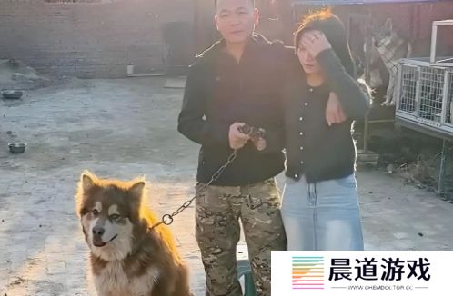 训狗一哥潘宏又出事，要求主人签“天价合同”，网友：这波站潘宏