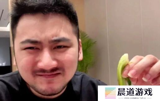 知名CSGO一哥茄子宣布退休，称直播累还赔钱，直言自己没有那么伟大