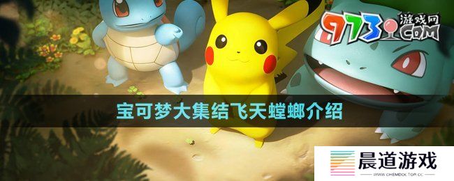 《宝可梦大集结》飞天螳螂介绍