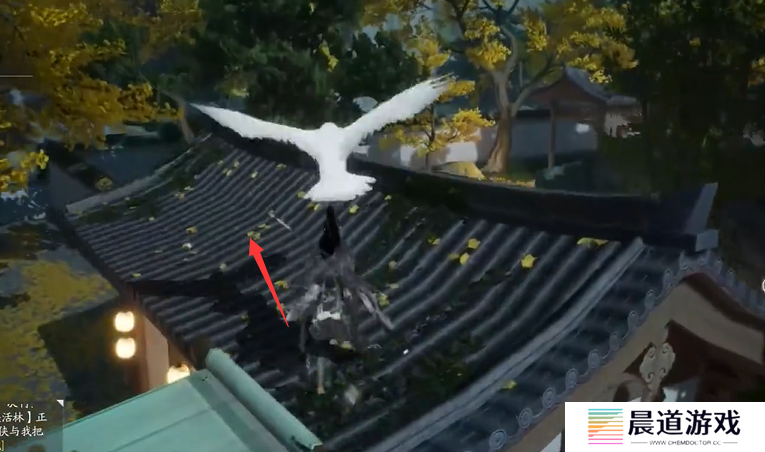 《射雕》东肆梦华录鹭羽全收集攻略