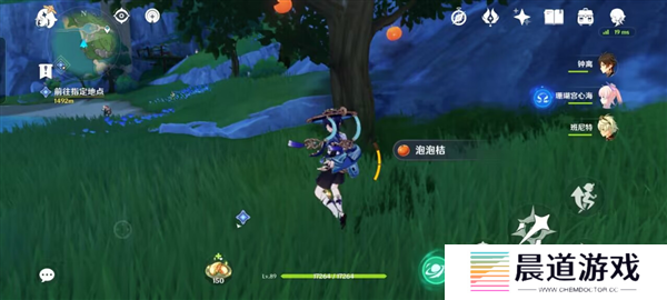 原神泡泡桔采集路线一览4