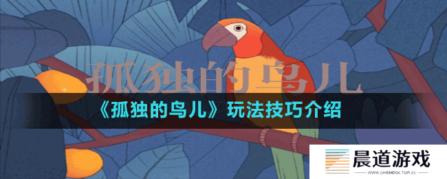 《孤独的鸟儿》玩法技巧介绍